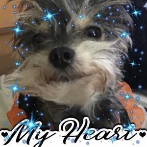 Meet your Posher, Robyn